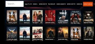 Iron TV Max ne se lance pas